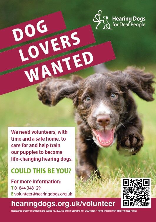 Contact @hearingdogs for more information on becoming a volunteer.